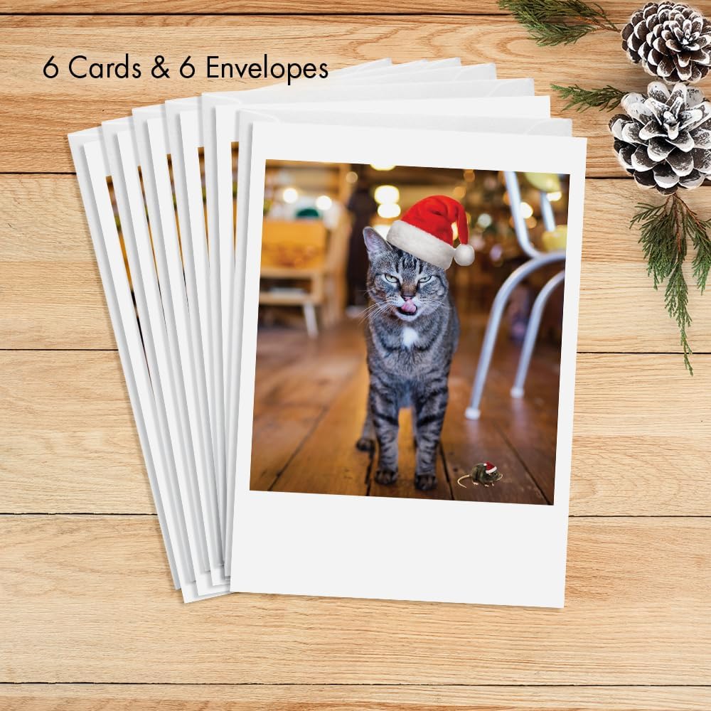Photographic Christmas Cards, “Not a Creature Was Stirring,” Cat and Mouse with Santa Hats (6 Cards with White Envelopes)