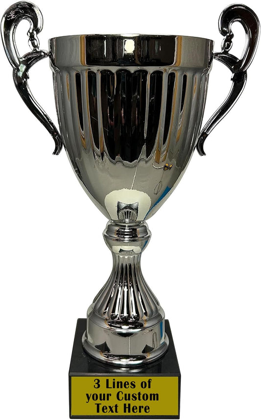 Express Medals Various Styles of Award Trophy Cups Trophies Prize Gift Champion Winner 1st Place