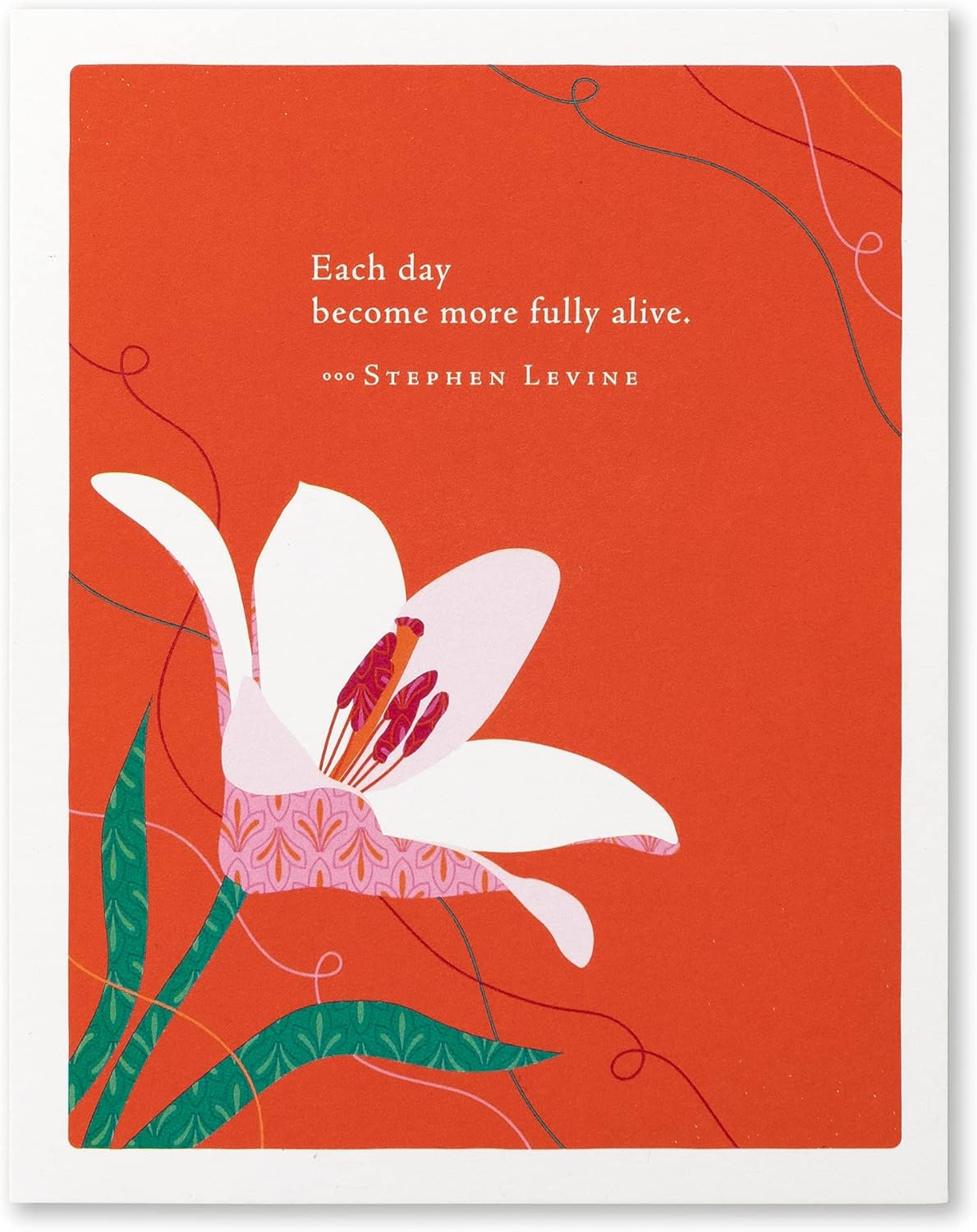 Compendium Positively Green 4-Pack of Birthday Cards – Nature (Four Different Designs, One Card Each, with Envelopes)