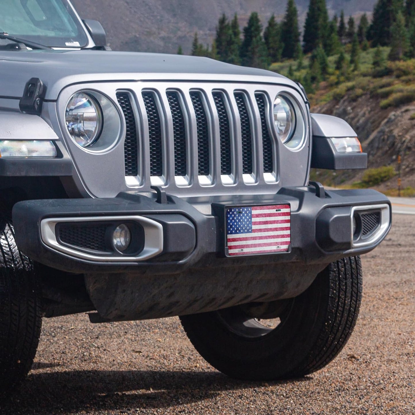 Unique Vanity License Plates | 16 Individual Designs | 3 Sizes (Automobile, Golf Cart, Motorcycle/Bike) | Made in U.S.A. | Custom Car Tags (USA Flag, Standard (12" x 6"))