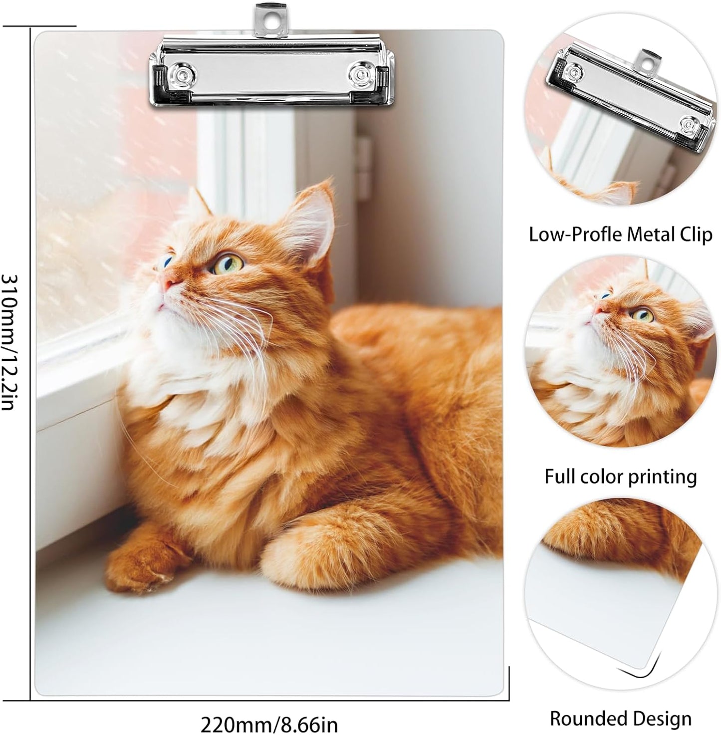 Plastic A4 Clipboards, Cute Fashion Clipboard Decorative, 12.2" x 8.7" Standard A4 Size Clipboards, Plastic Acrylic Clipboard for Teacher, Social Worker, Students,Women, Office Supplies(Cat)