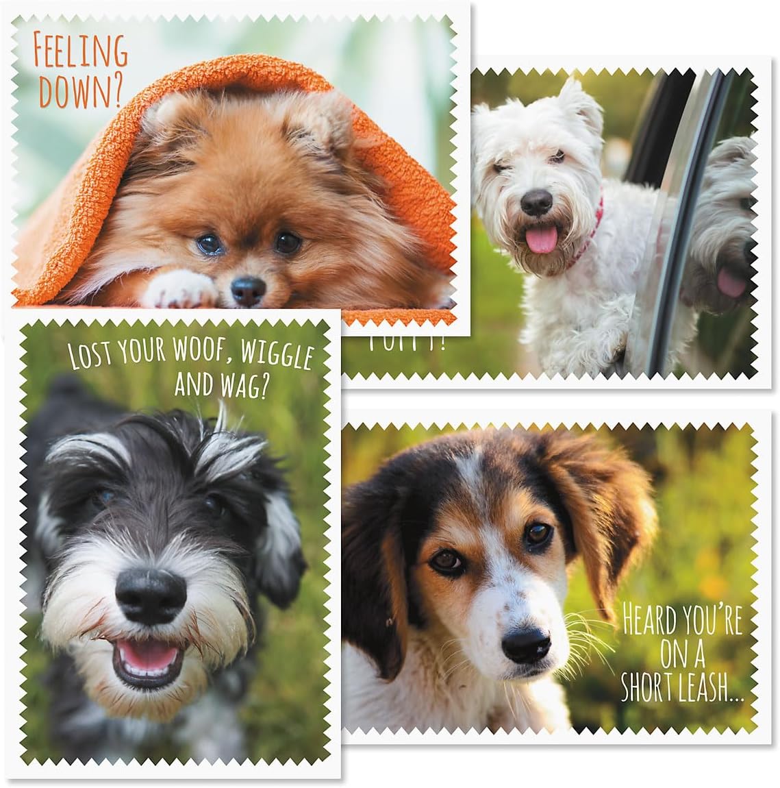 Furry Get Well Greeting Cards - Set of 8 (4 designs), Large 5" x 7", Dog Design Get Well Soon Cards with Sentiments Inside, White Envelopes