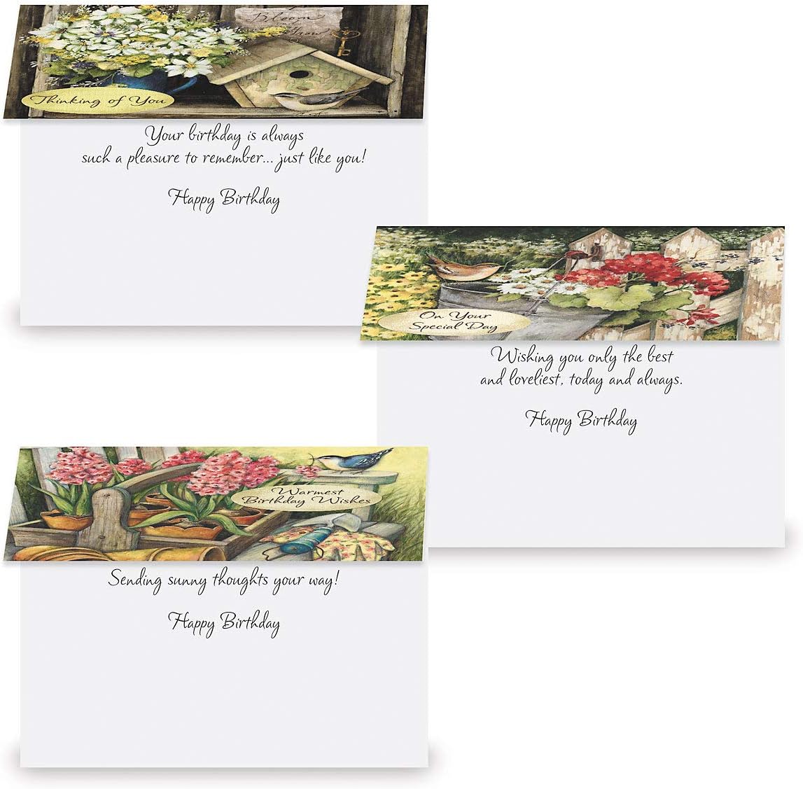 Current by Susan Winget Happy Birthday Greeting Card Set - Value Pack of 20 Cards With White Envelopes, 10 Designs, Large 5" x 7" Assortment