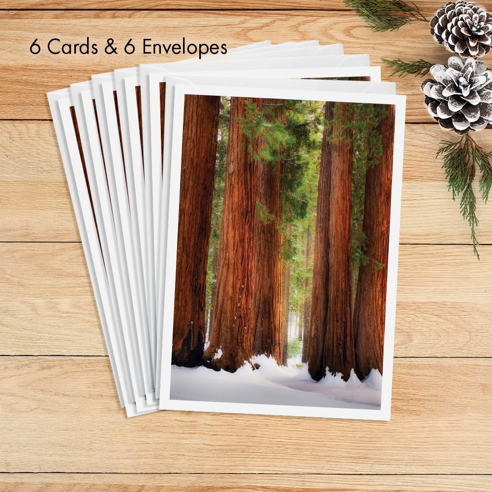 Photographic Season’s Greetings Cards, Sequoia National Park (6 Cards with White Envelopes)