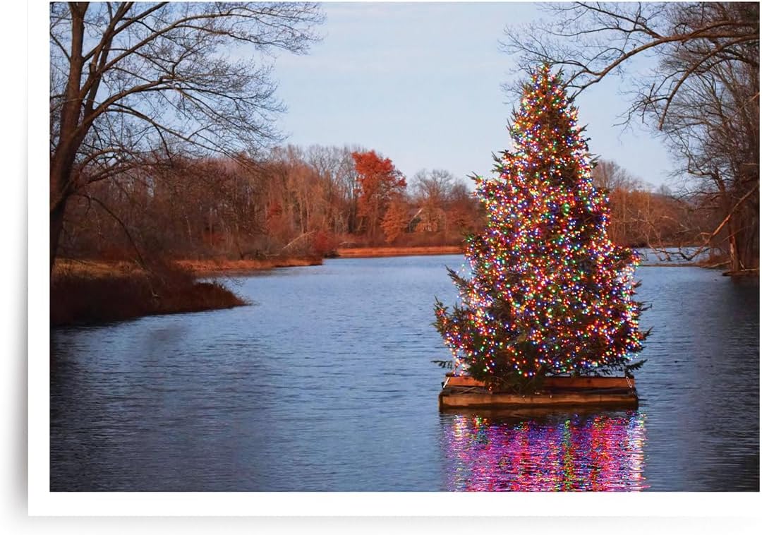 Photographic Christmas Cards, Christmas on the Pond (6 Cards with White Envelopes)