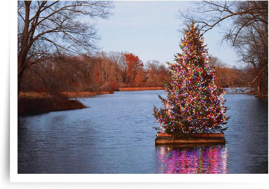 Photographic Christmas Cards, Christmas on the Pond (6 Cards with White Envelopes)