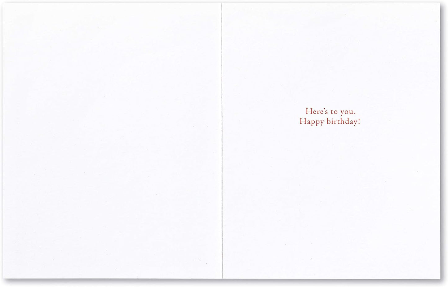 Compendium Positively Green 4-Pack of Birthday Cards – Forever Young (Four Different Designs, One Card Each, with Envelopes)