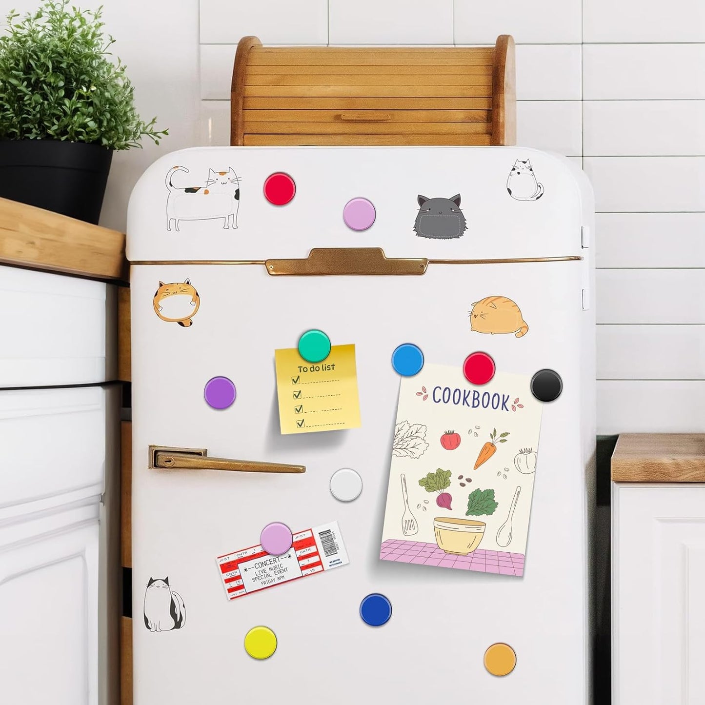 FINDMAG 60 Pack Fridge Magnets, Whiteboard Magnets, Dry Erase Board Magnet for Locker, Round Decorative Magnet, Small Colorful Refrigerator, 10 Colors