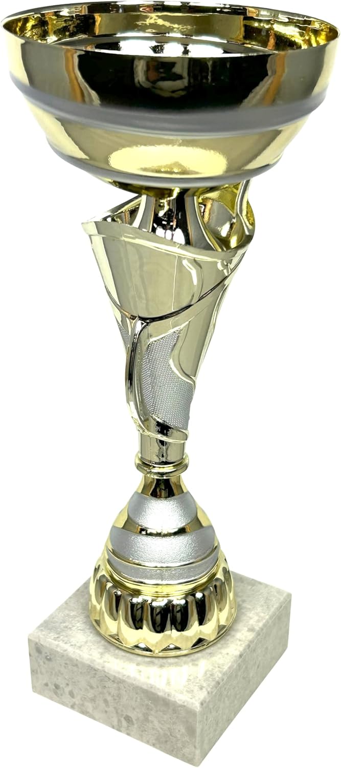 Express Medals Various Styles of Award Trophy Cups Trophies Prize Gift Champion Winner 1st Place