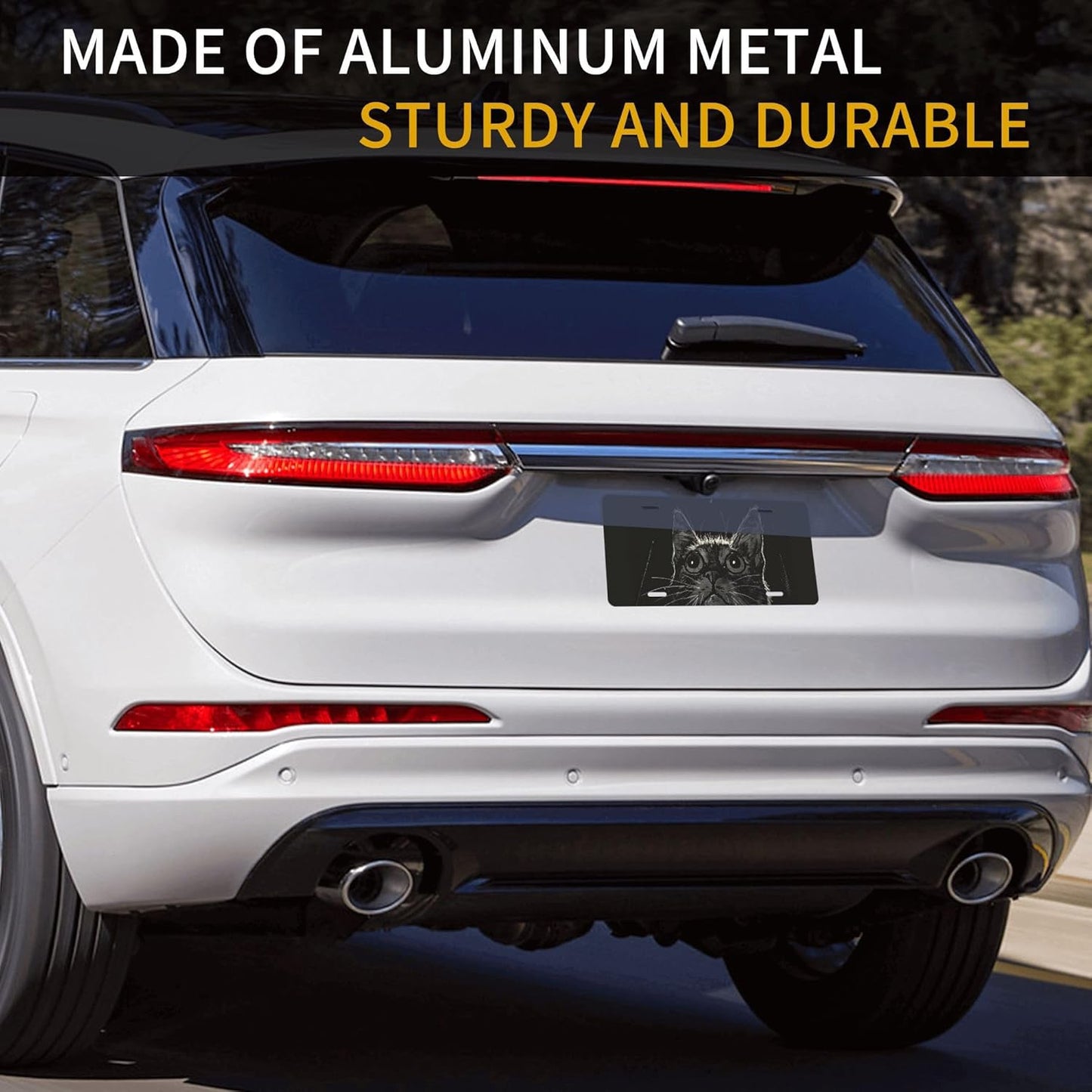 Custom License Plate Personalized Cat Animal Funny Aluminum Front License Plates Decorative Rust-Free Metal Car Plate Covers for Women Men Car Tag Accessories fit Truck SUV Rv 12 X 6 in