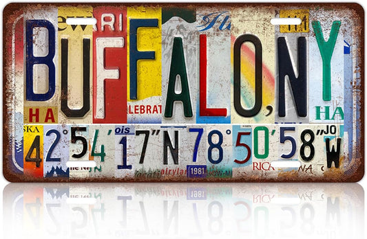 Vintage City Wall Decor Buffalo,Ny License Plate Metal Sign Tin Signs Poster