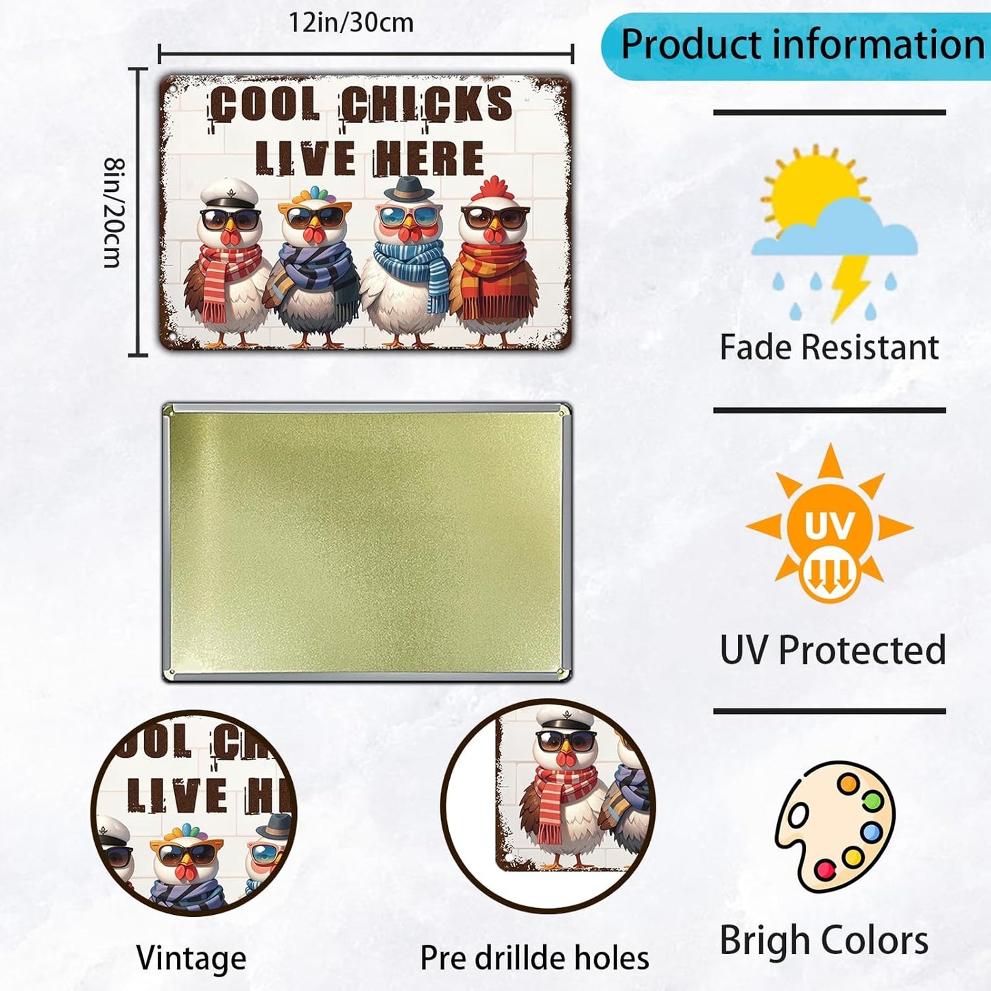 Funny Cool Chicks Live Here Tin Sign Plaque Metal Poster 12x8 Inch Home Kitchen Garden Restaurant Farm Wall Decor