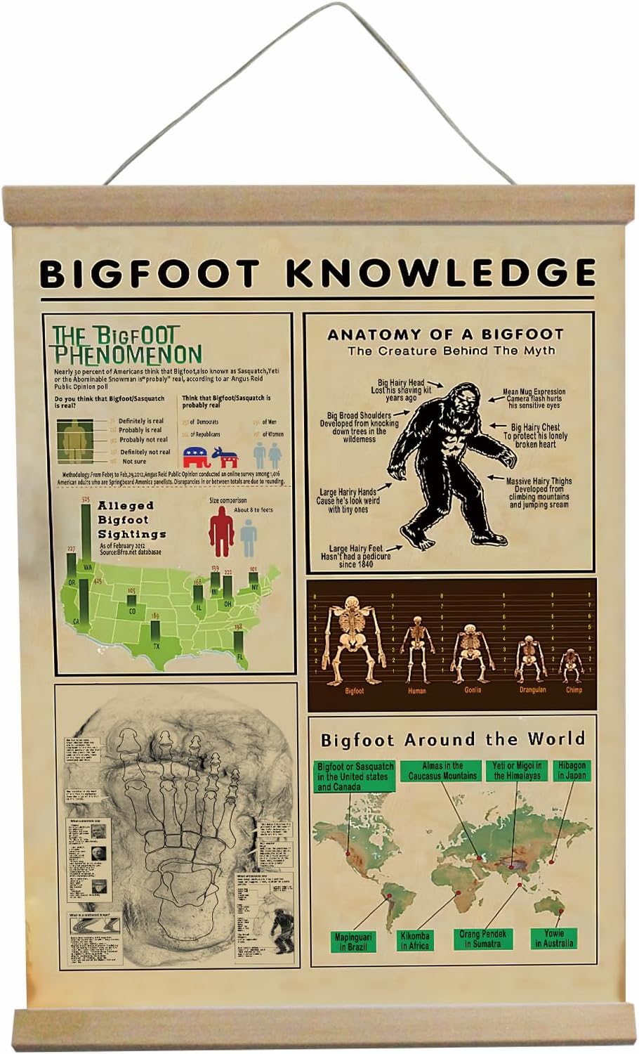 Bigfoot Poster Sign Sasquatch Gifts Forest Decor Anatomy Of A Bigfoot Bigfoot Stuff Wall Art House Bedroom, Kitchen, Bathroom,Man Cave Bar 12x16inch