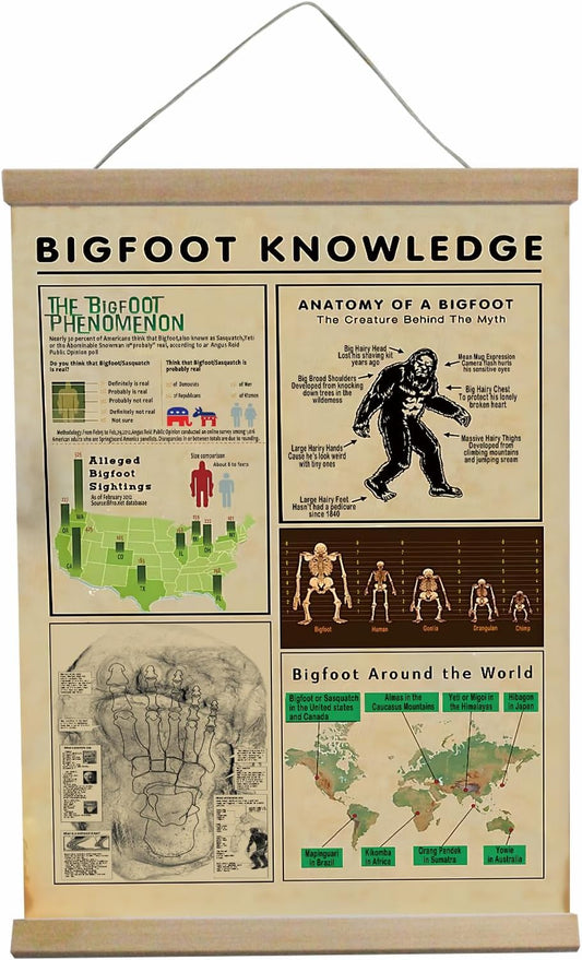 Bigfoot Poster Sign Sasquatch Gifts Forest Decor Anatomy Of A Bigfoot Bigfoot Stuff Wall Art House Bedroom, Kitchen, Bathroom,Man Cave Bar 12x16inch