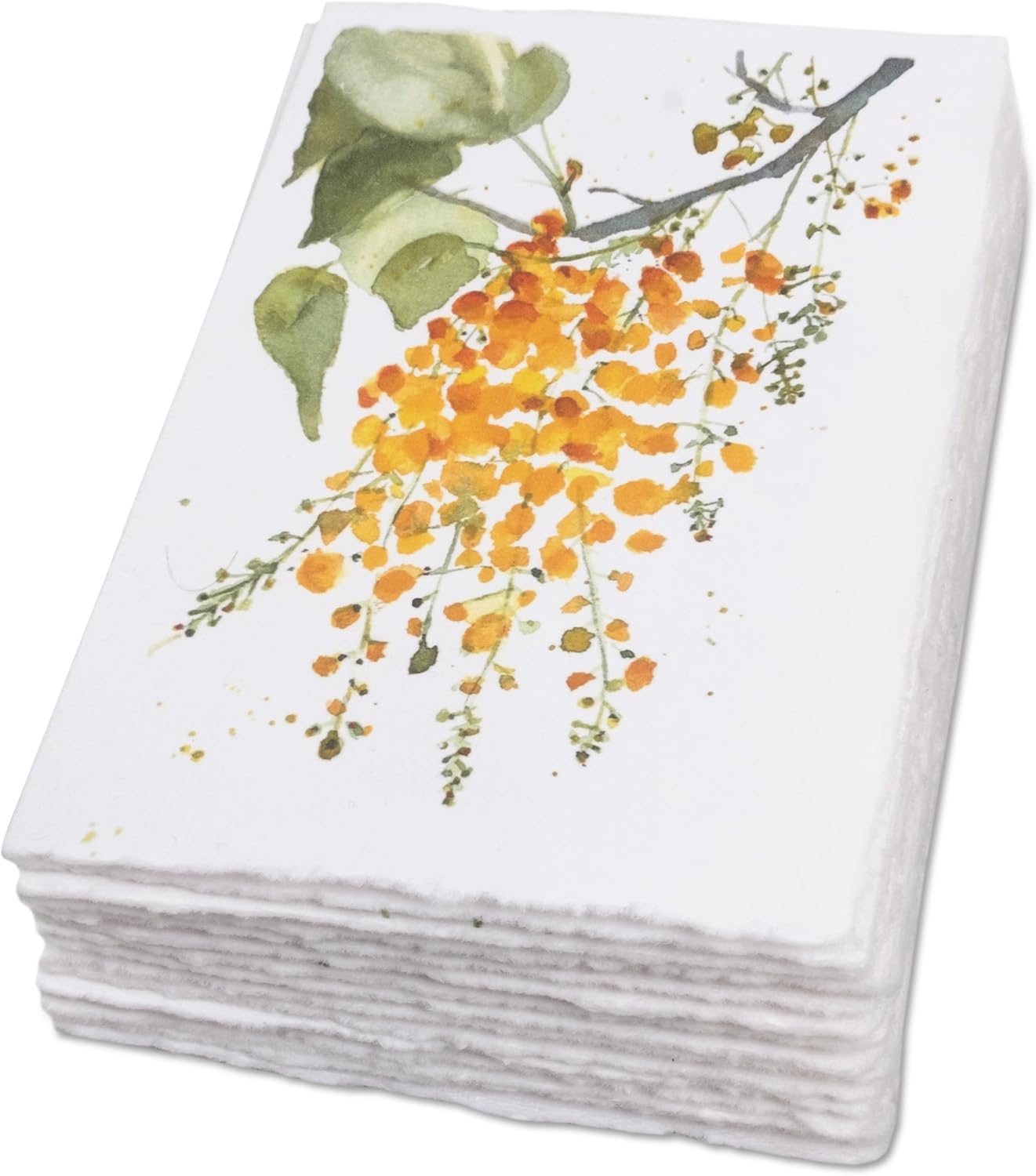 WANDERINGS Handmade Deckle Edge Blank Greeting Cards & Envelopes with Flower Art - Thick 300gsm paper– 20 Cards (5 Each of 4 Varieties) for Invitations, Thank Yous, Get Well and Birthday Cards –5x7