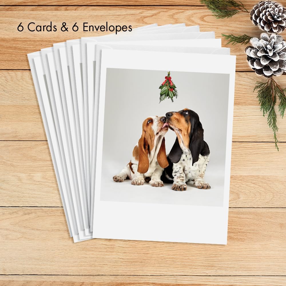 Photographic Christmas Cards, Basset Hounds Under The Mistletoe (6 Cards with White Envelopes) – Perfect for Special Someone