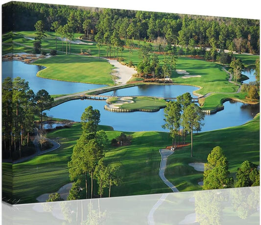 chenchenArt King's North Golf Course Wall Art for Living Room Bedroom Bathroom Home Decorations Myrtle Beach National Club Picture Canvas Prints Modern Artwork Framed Ready to Hang(12''H x 16''W)