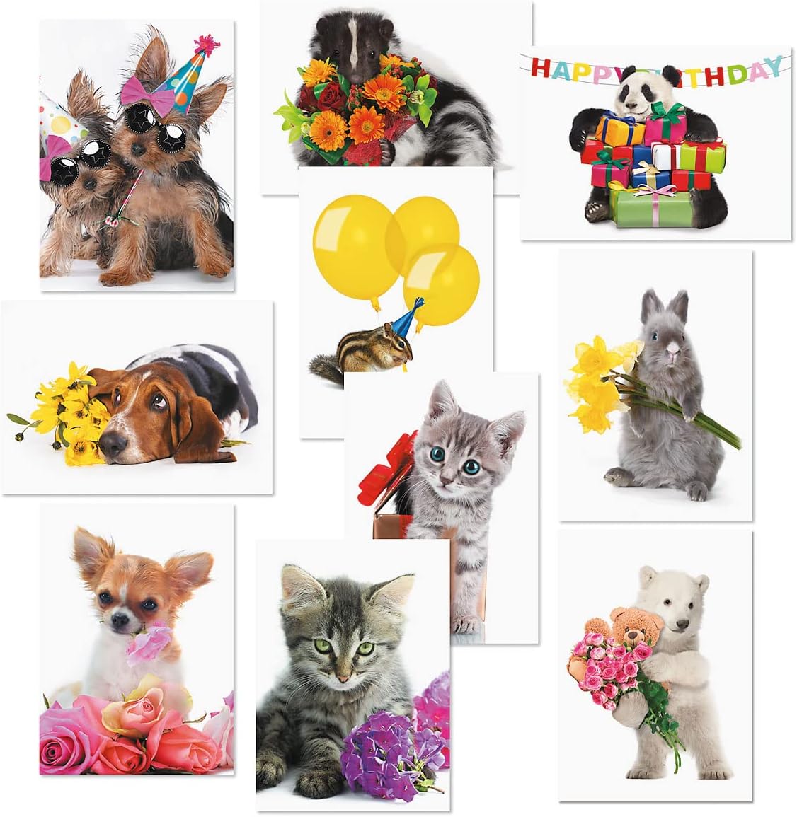 Current Big Bouquet Animal All Occasion Value Pack - 20 Cards With Envelopes, Celebration, Get Well, Sympathy, Birthday, Anniversary & Thinking of You Variety, Large 5" x 7" Assortment, 10 Design Set