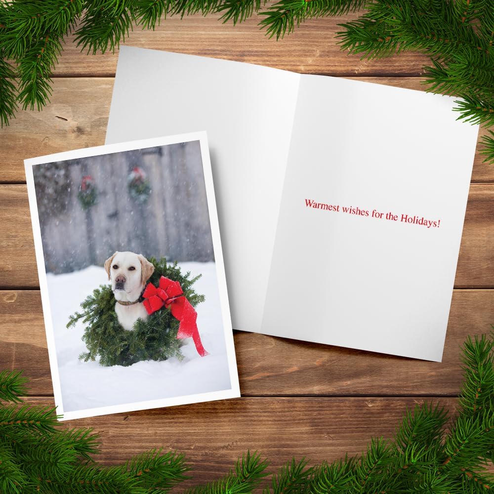 Photographic Happy Holidays Cards, Labrador Wreath (6 Cards with White Envelopes)