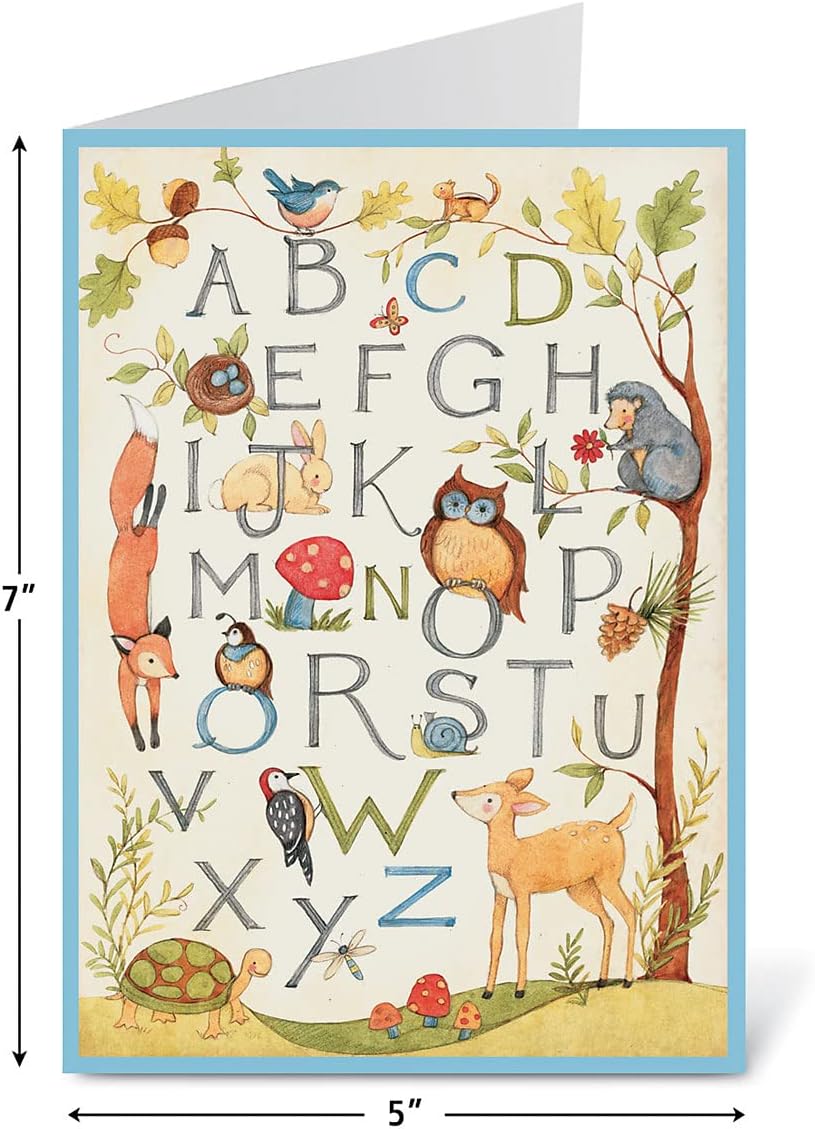 Current Sentiments All Occasion Value Pack-20 Cards With Envelopes,Celebration,Get Well,Sympathy,Birthday,Anniversary & Thinking of You Variety, Large 5" x 7" Assortment,10 Design Set by Susan Winget