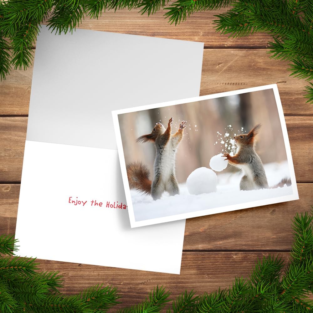 Photographic Happy Holidays Cards, Squirrels Play Catch (6 Cards with White Envelopes)