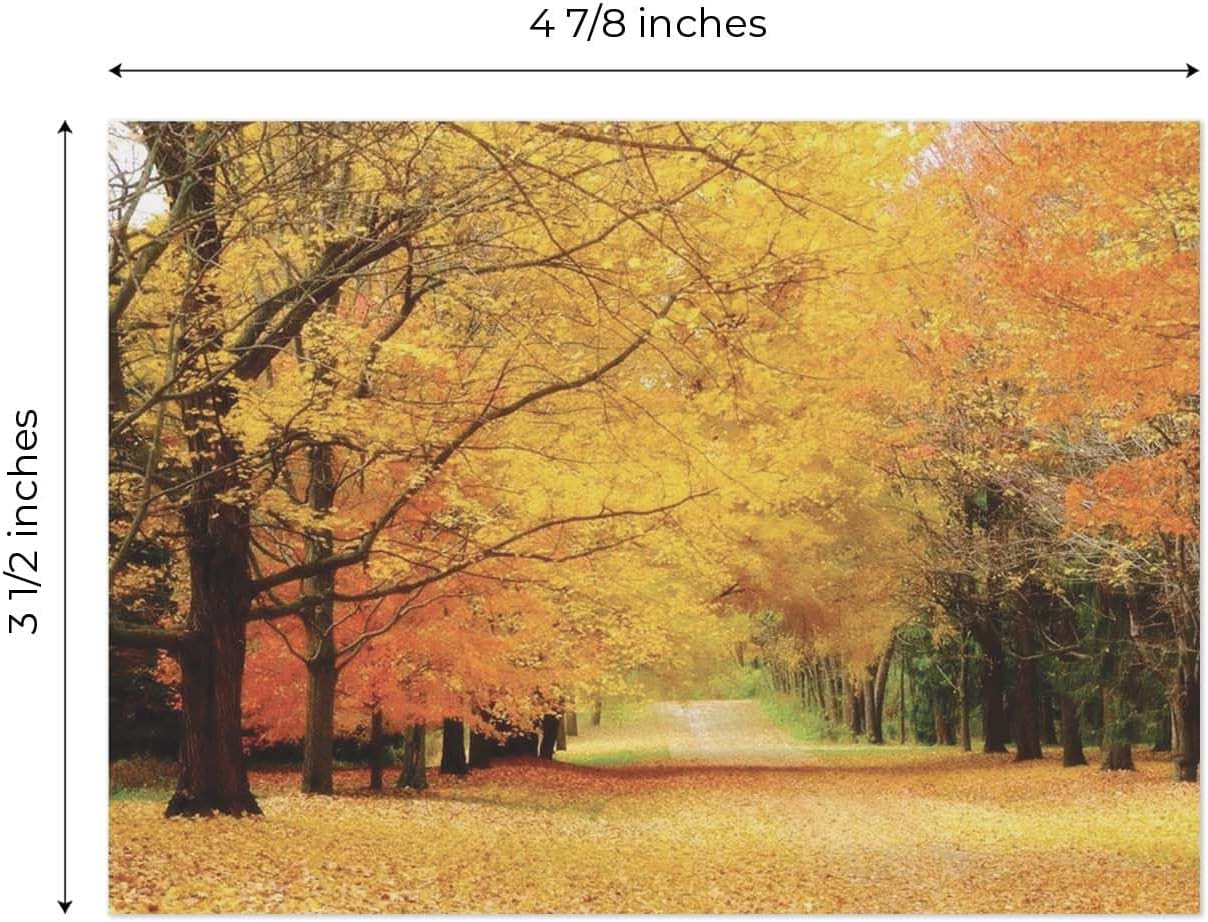 Breathtaking Landscape Note Card Pack / 36 Nature All Occasion Greeting Cards With White Envelopes Set / 6 Colorful Outdoor Scenery Designs / 3 1/2" x 4 7/8" All Occasion Sympathy Cards