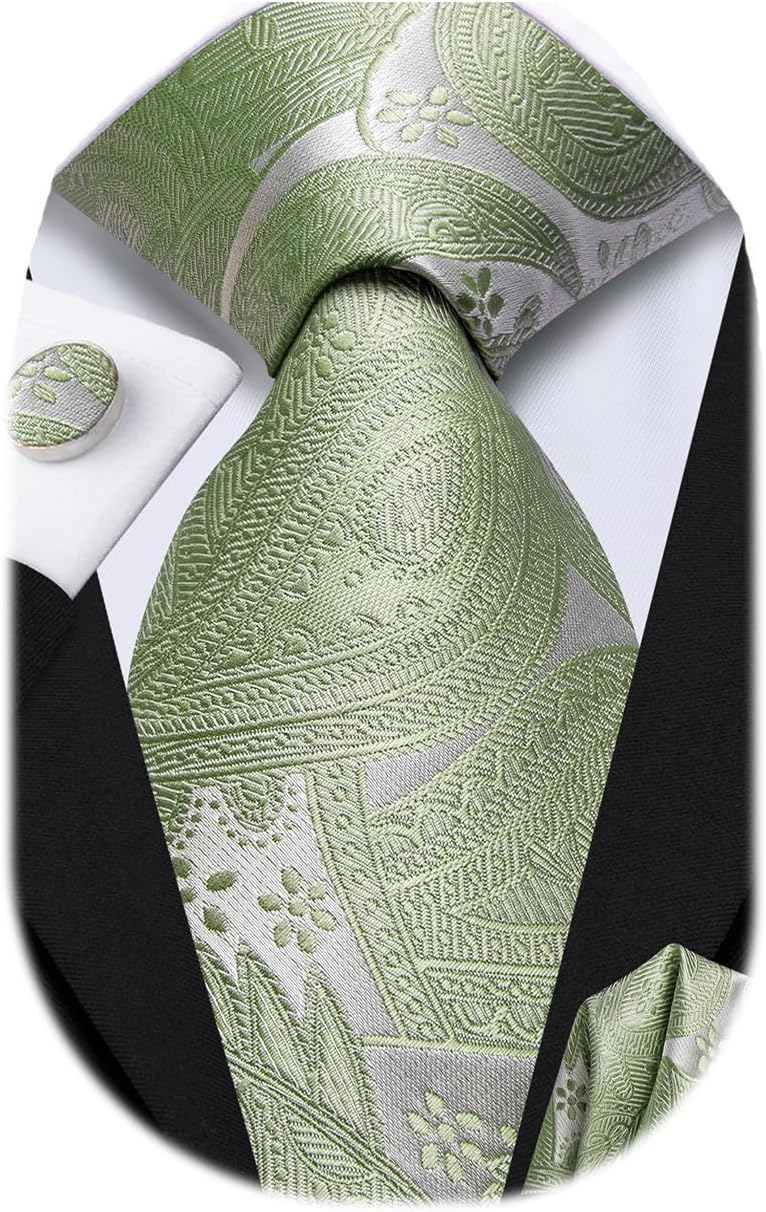 Dubulle Mens Paisley Striped Tie WOVEN Necktie for Men and Handkerchief Cufflinks Set Wedding Formal Business