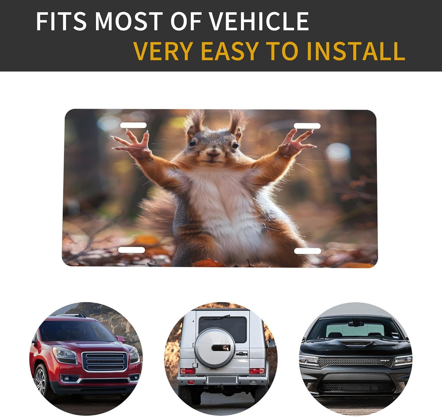 Funny Squirrel Fall License Plate Funny Aluminum Front License Plates Decorative Waterproof Rust-Free Metal Car Plate Covers for Women Men Car Tag Accessories fit Truck SUV Rv 12 X 6 Inch