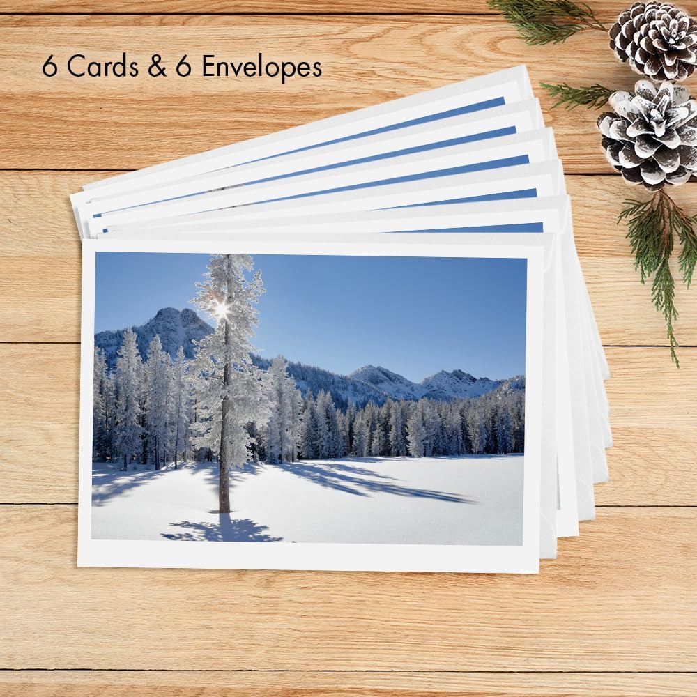 Photographic Happy Holidays Cards, Snowy Trees (6 Cards with White Envelopes)