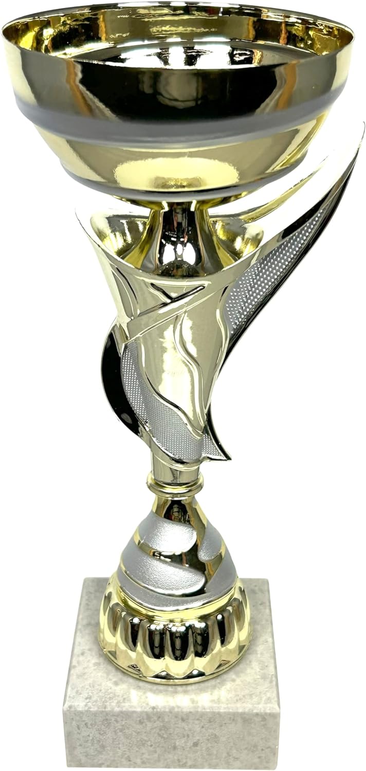 Express Medals Various Styles of Award Trophy Cups Trophies Prize Gift Champion Winner 1st Place