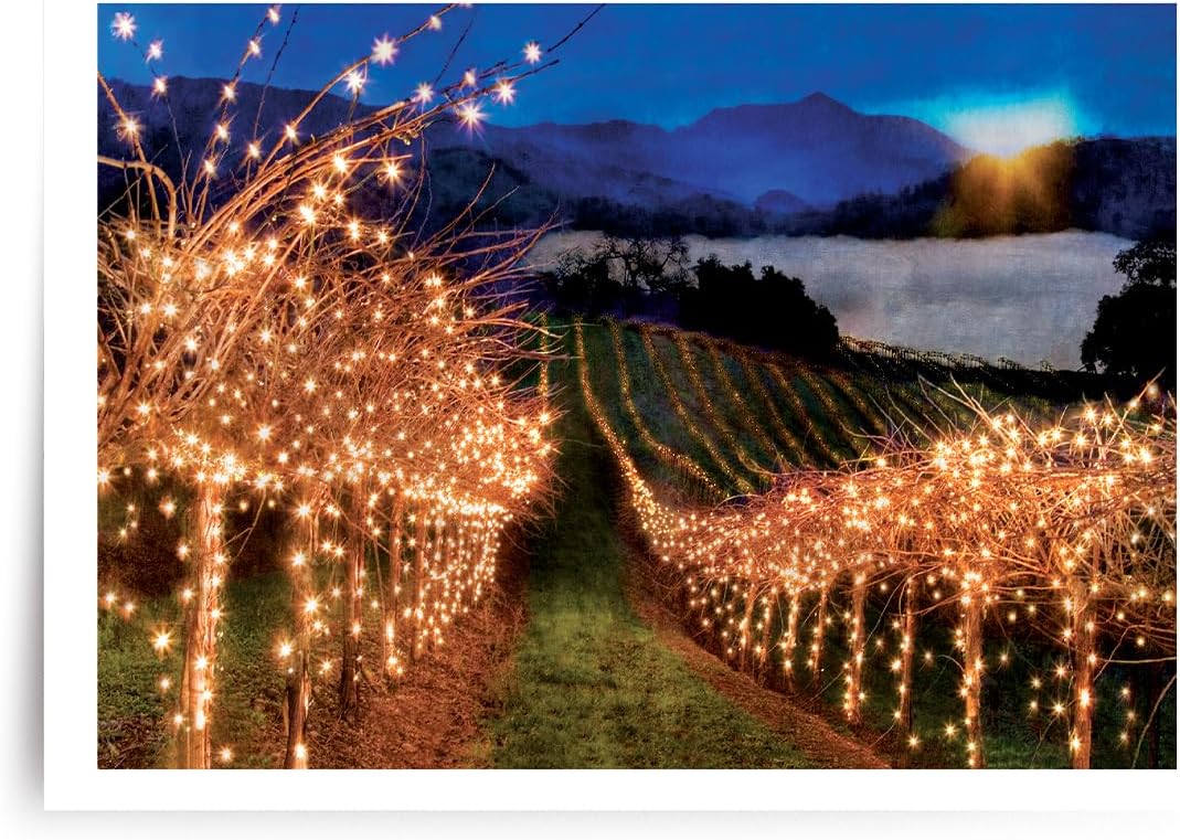 Photographic Happy Holidays Cards, Field of Lights (6 Cards with White Envelopes)