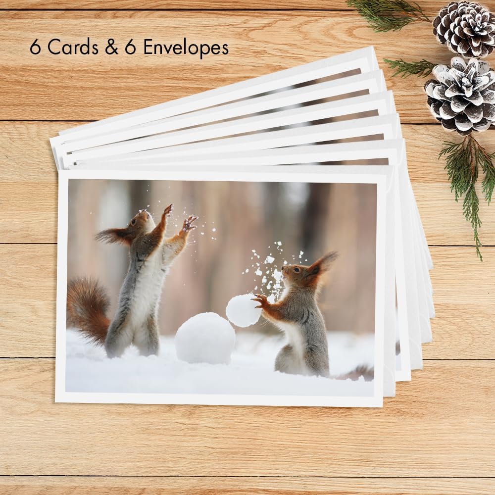 Photographic Happy Holidays Cards, Squirrels Play Catch (6 Cards with White Envelopes)