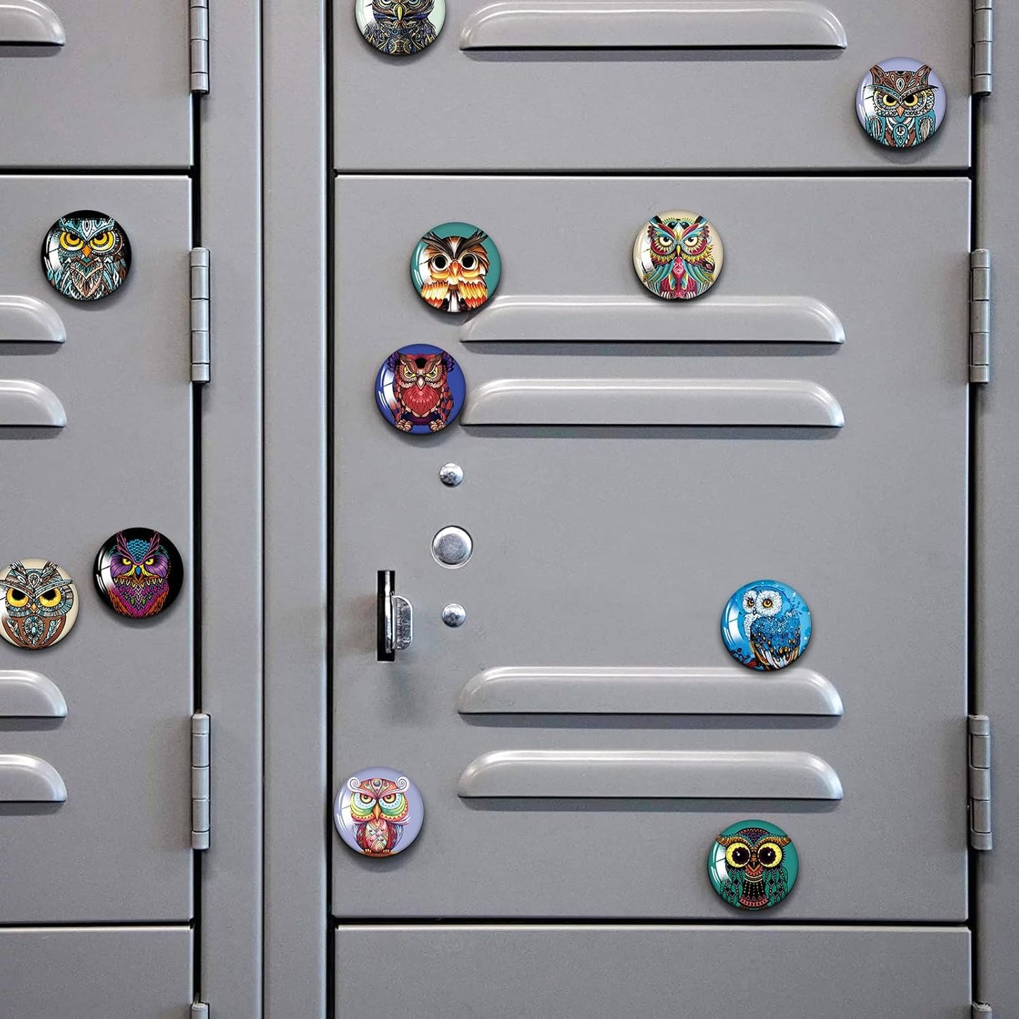 MORCART 16PCS Owl Magnets for Fridge, Cute Refrigerator Magnets for Locker Whiteboard Decorative Magnetic Board Cabinets Classroom Office Cubicle School (owl)