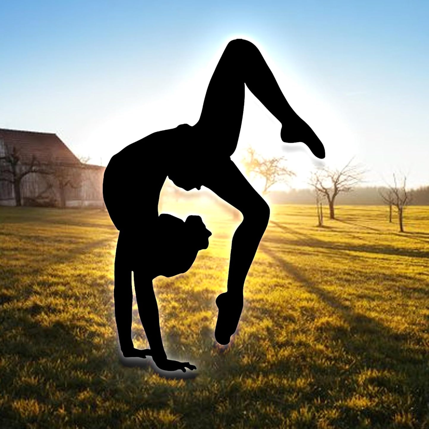 Custom Gymnastics Metal Sign With LED Light, Personalized Gymnastics Metal Sign, Gift For Gymnastics Lovers, Wall Hanging, Home Decor, Birthday Gift, Christmas Gift