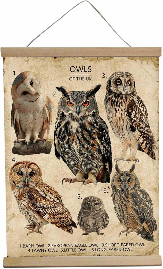 Owl Decor Vintage Wall Art The Owl House Poster Wall Tapestry For Office Pretty Garden Bird Decor Forest Decor House Bedroom, Kitchen, Bathroom,Wall Decor Aesthetic 12x16inch