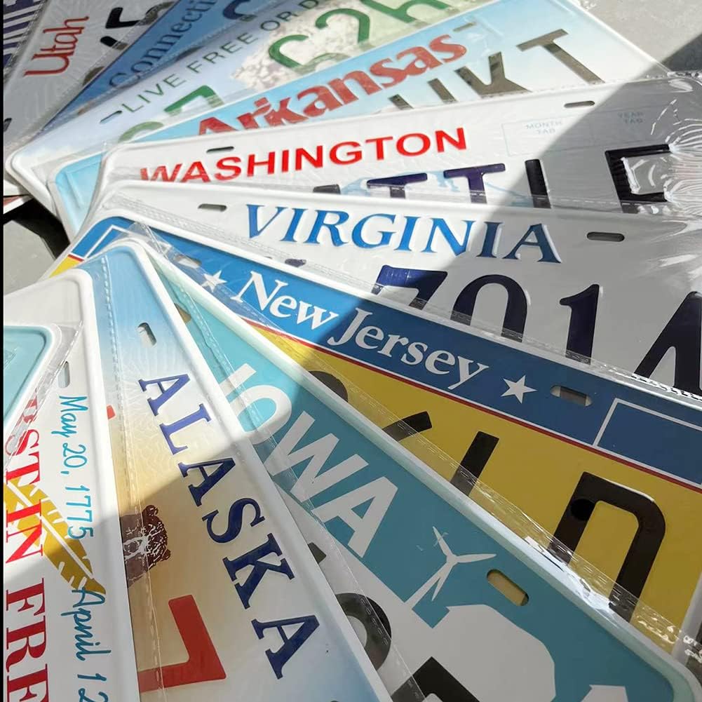 Assorted Replica Metal License Plates, Stamped Car Plates, Man Cave Garage Bar Decor (30 pcs)