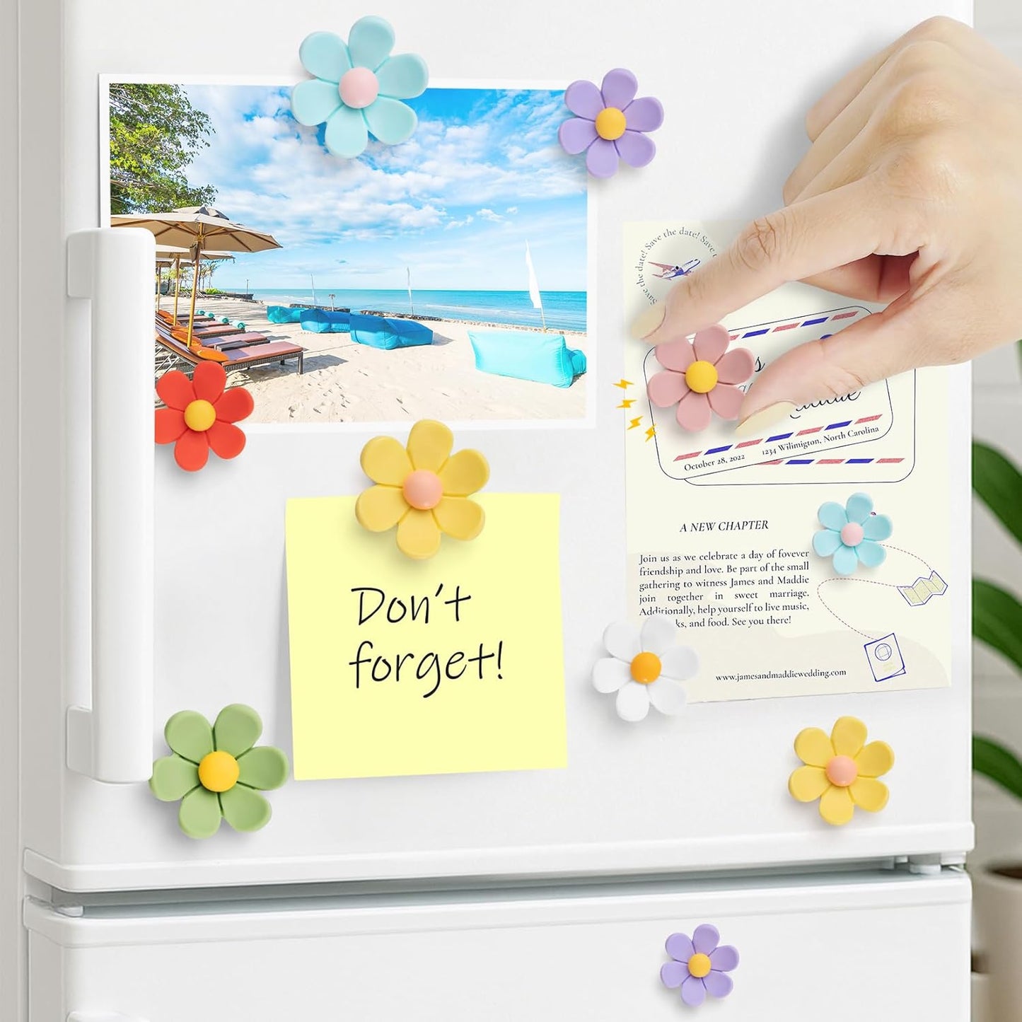 FINDMAG 21Pack Fridge Magnets, Flower Refrigerator Magnets Cute, Fun Magnet Refrigerator, 3D Flower Magnet for Office, Locker Decorations, Home, Kitchen, Whiteboard, (7 Small + 7 Medium + 7 Large)