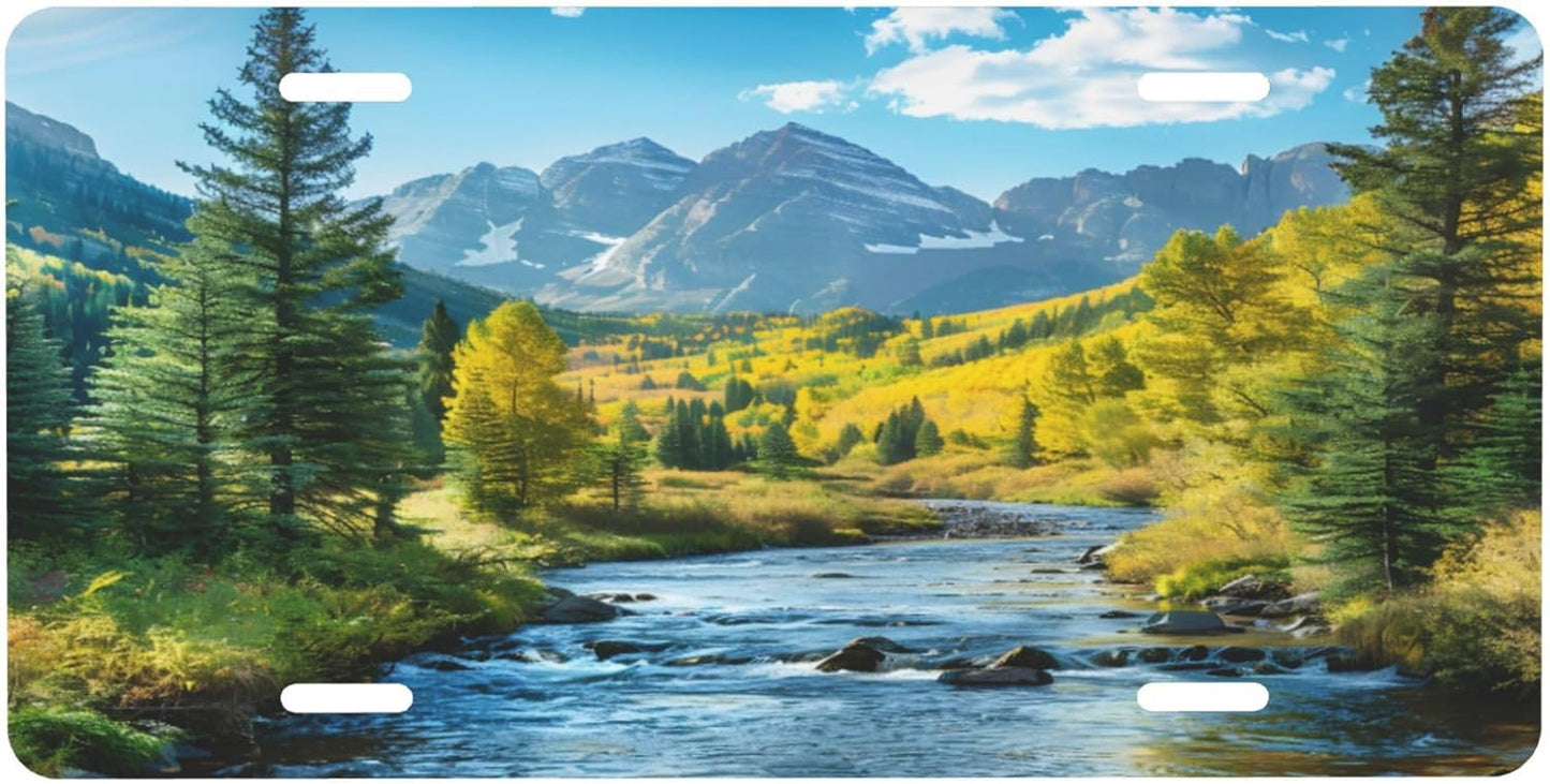 Forest River Blue Sky License Plate Funny Aluminum Front License Plates Decorative Waterproof Rust-Free Metal Car Plate Covers for Women Men Car Tag Accessories fit Truck SUV Rv 12 X 6 Inch