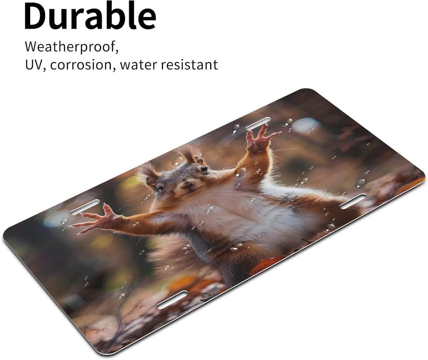 Funny Squirrel Fall License Plate Funny Aluminum Front License Plates Decorative Waterproof Rust-Free Metal Car Plate Covers for Women Men Car Tag Accessories fit Truck SUV Rv 12 X 6 Inch