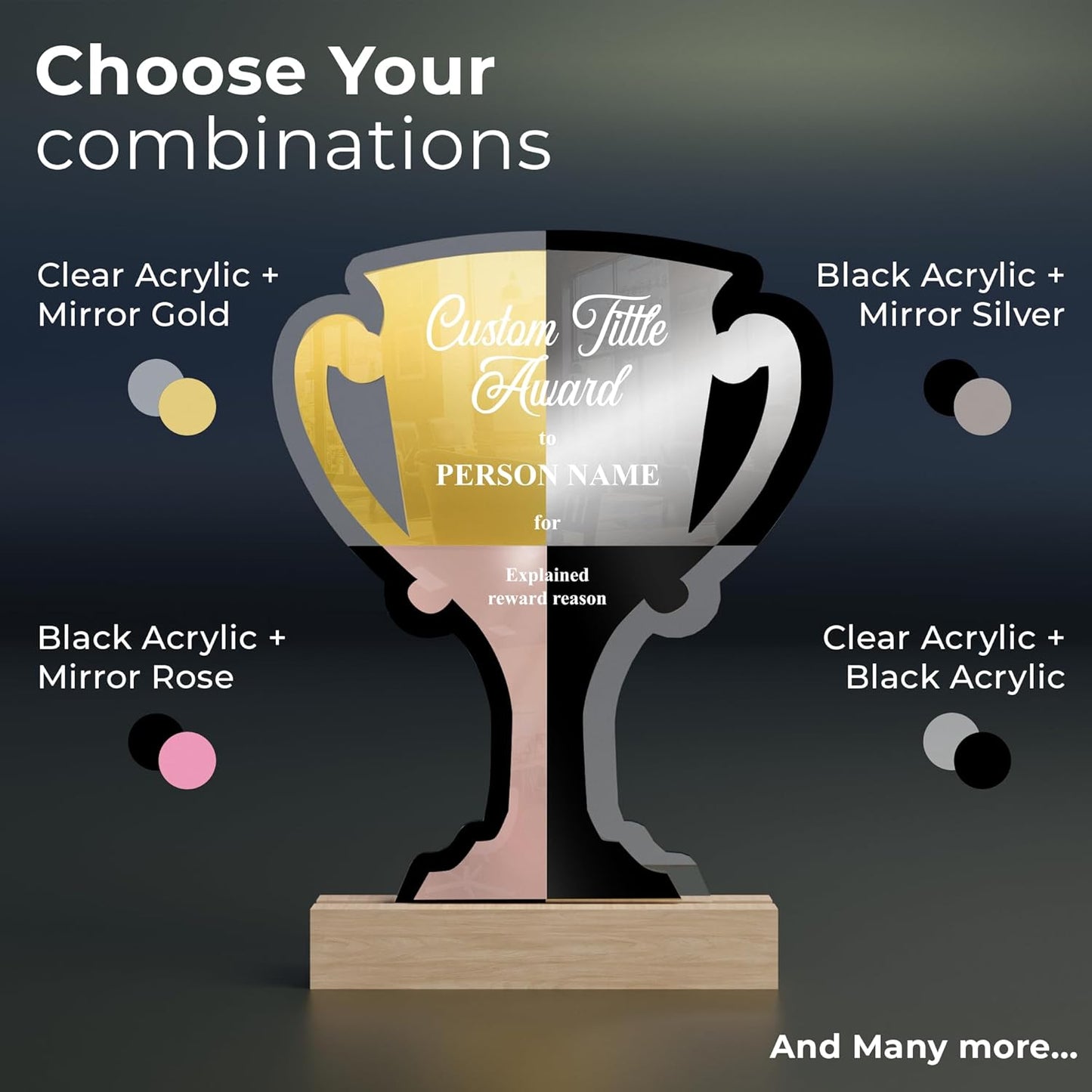 Personalized Acrylic Trophy Award for Activities I Custom Trophy Plaque I Customizable Awards and Trophies I Customize Your Employee Appreciation Gifts (E. Award Trophy Cup)