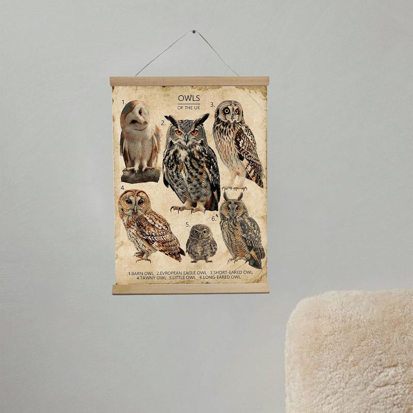 Owl Decor Vintage Wall Art The Owl House Poster Wall Tapestry For Office Pretty Garden Bird Decor Forest Decor House Bedroom, Kitchen, Bathroom,Wall Decor Aesthetic 12x16inch