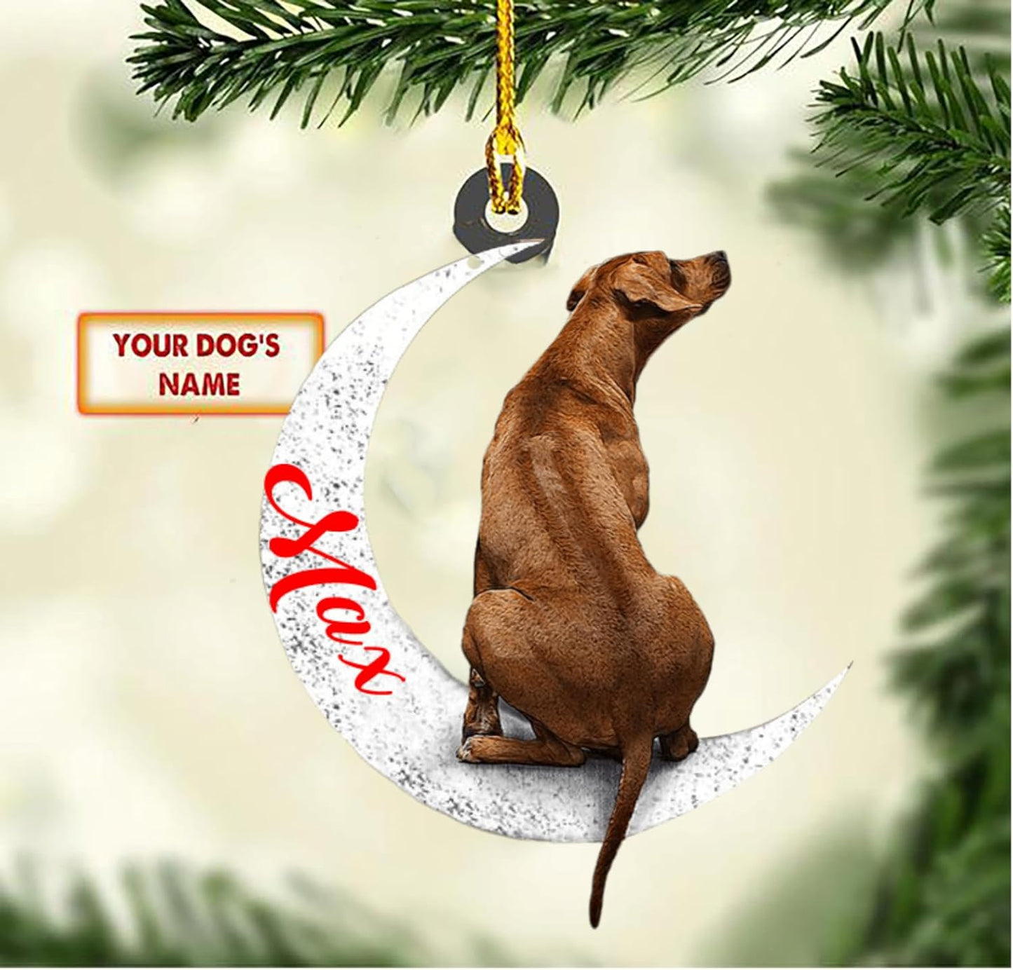 Custom Rhodesian Ridgeback Dog Sit on The Moon Ornaments, Custom Your Dog Name, Christmas Dog Lover Gifts - Christmas for Dogs, Dog Christmas Ornaments 2023, Flat 2D Printing