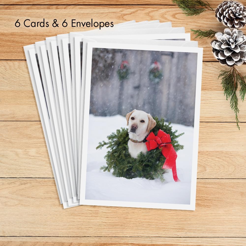 Photographic Happy Holidays Cards, Labrador Wreath (6 Cards with White Envelopes)