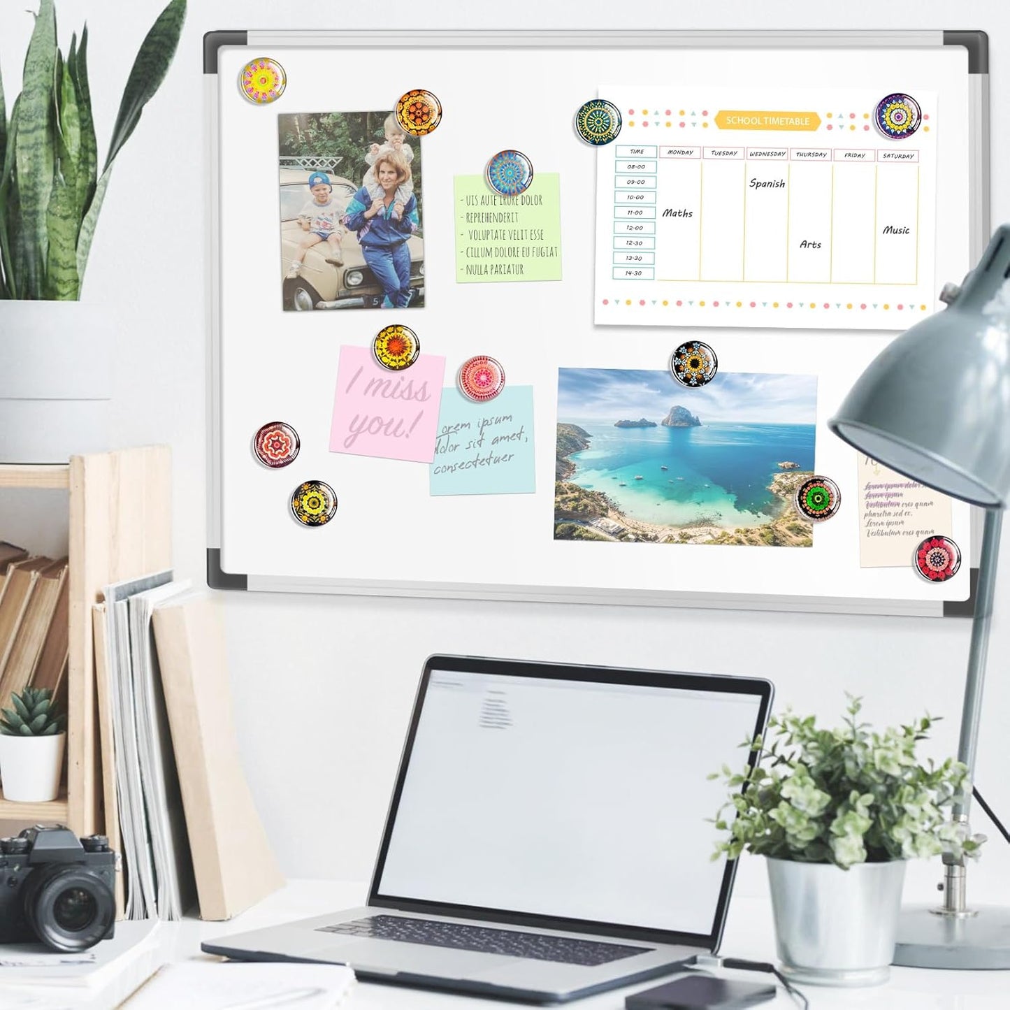 FINDMAG 12 Pcs Cute Fridge Magnets, Strong Refrigerator Magnets, Glass Refrigerator Magnets for Whiteboard, Kitchen, Locker Accessories, Home and Gift