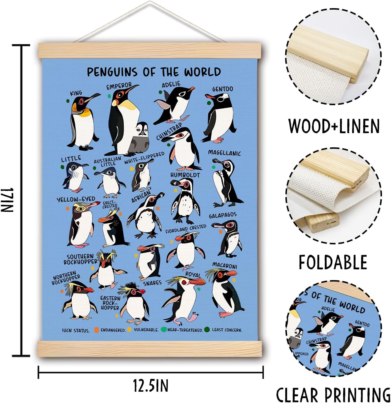 Penguin Wall Decor, Penguin of the World Wall Art With Wooden Poster Hanger, Nursery Wall Decor, Penguin Educational Chart Poster Decorations for Nursery Kids Room Classroom Playroom, 12.5x17 Inch