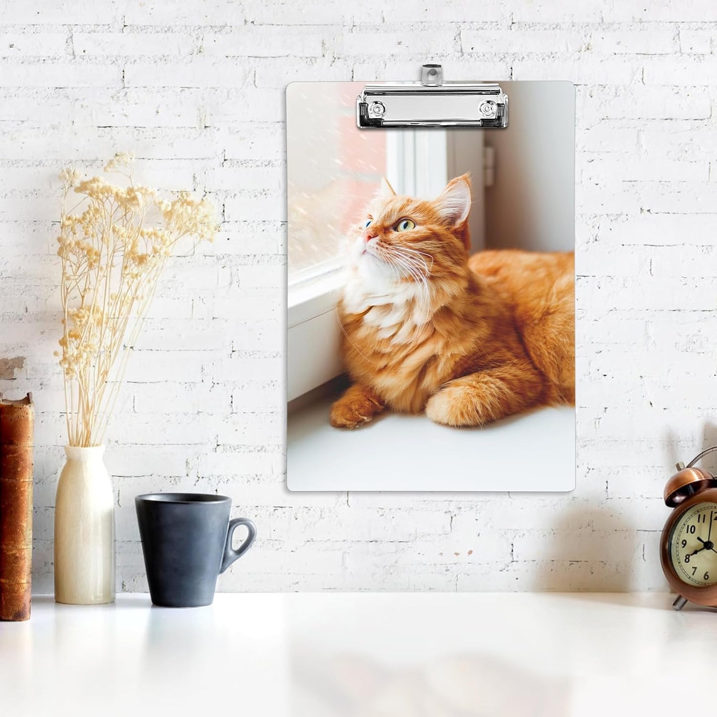 Plastic A4 Clipboards, Cute Fashion Clipboard Decorative, 12.2" x 8.7" Standard A4 Size Clipboards, Plastic Acrylic Clipboard for Teacher, Social Worker, Students,Women, Office Supplies(Cat)