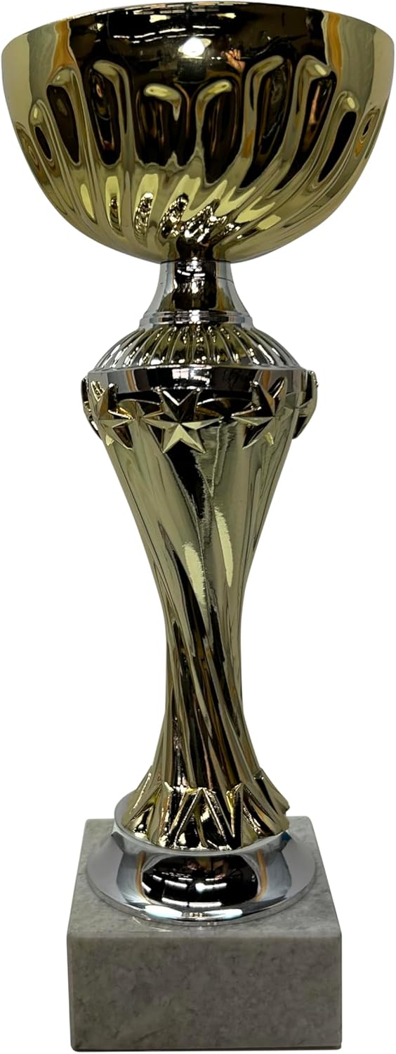 Express Medals Various Styles of Award Trophy Cups Trophies Prize Gift Champion Winner 1st Place