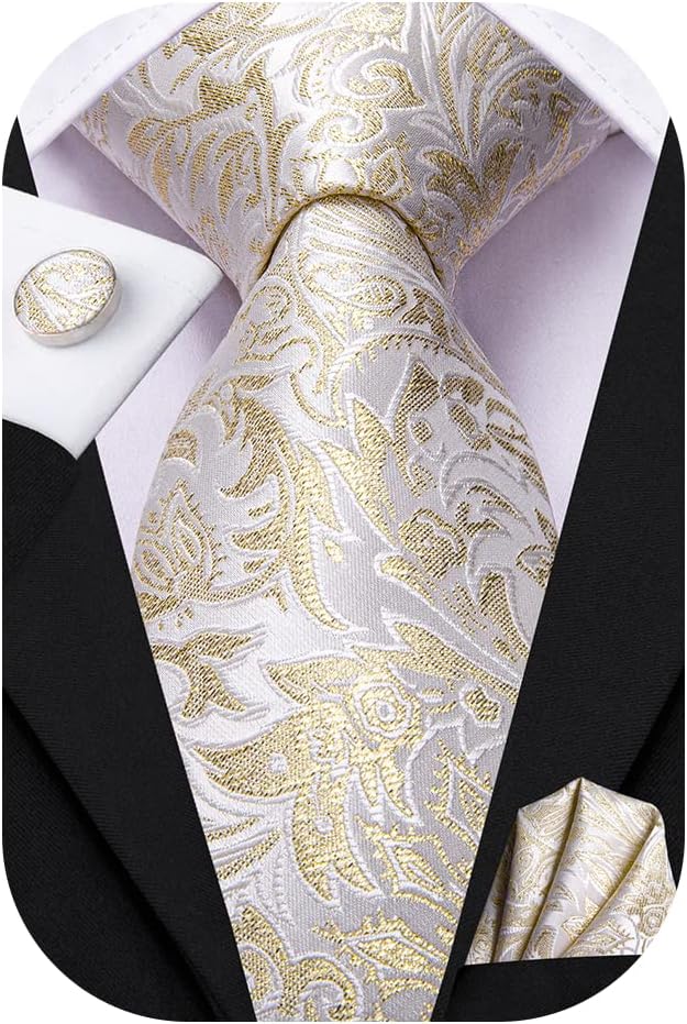 Dubulle Mens Paisley Striped Tie WOVEN Necktie for Men and Handkerchief Cufflinks Set Wedding Formal Business