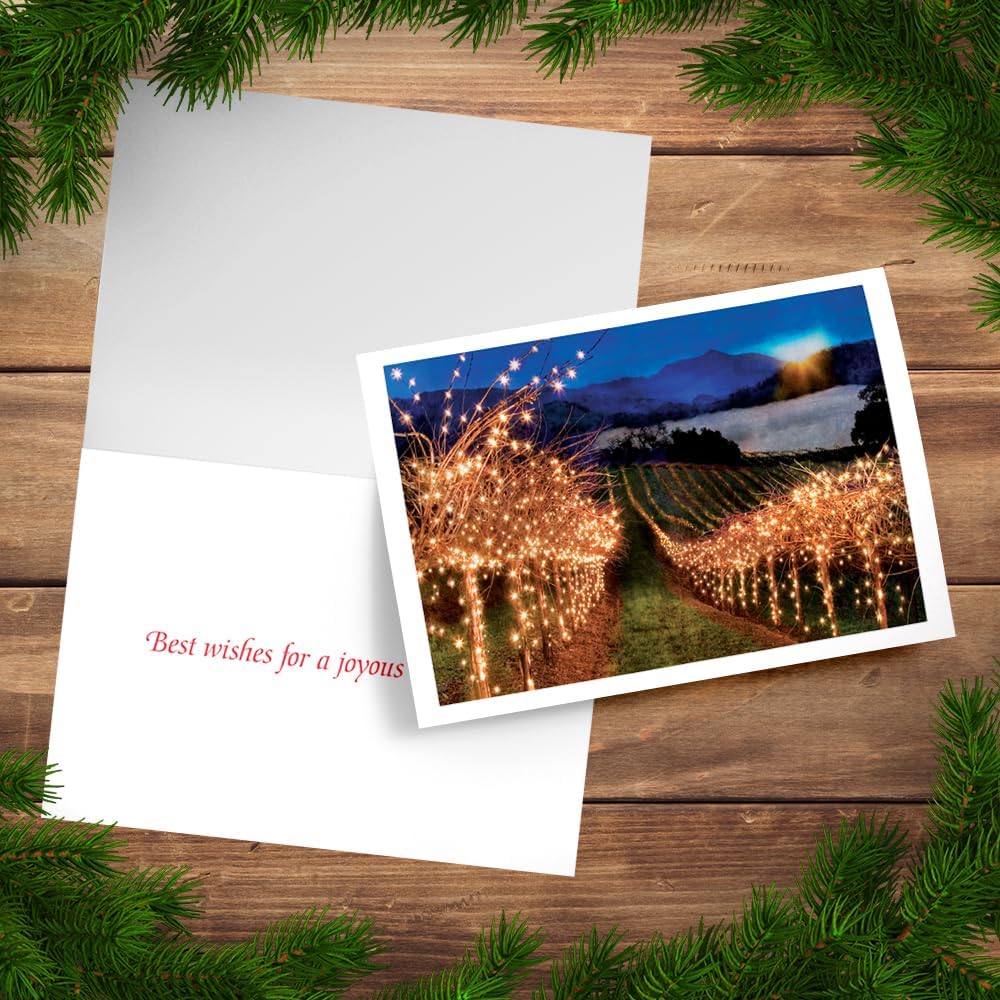 Photographic Happy Holidays Cards, Field of Lights (6 Cards with White Envelopes)
