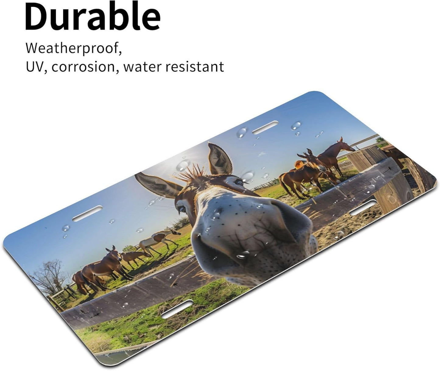 Grass Animal Donkey Countryside Front License Plate for Car Designs Stainless License Plate Cover Holder for Men Women Metal Aluminum Decorative Accessory Vanity Tag Standard 6 X 12 Inch (4 Holes)